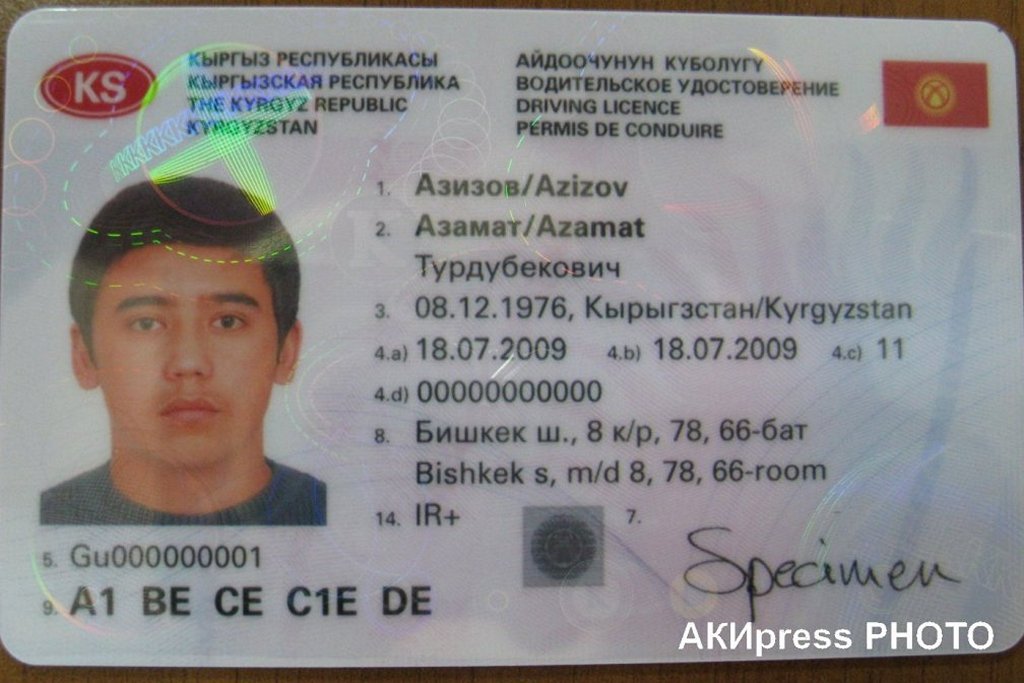 ПРИОБРЕТЕНИЕ ГРАЖДАНИНОМ КЫРГЫЗСКОЙ РЕСПУБЛИКИ ИНОГО ГРАЖДАНСТВА ВЛЕЧЕТ ЛИ ЗА СО